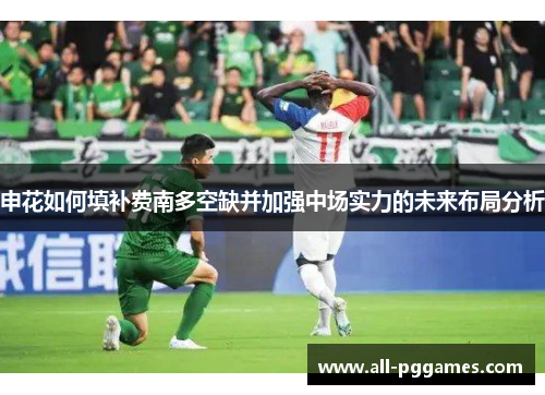 申花如何填补费南多空缺并加强中场实力的未来布局分析