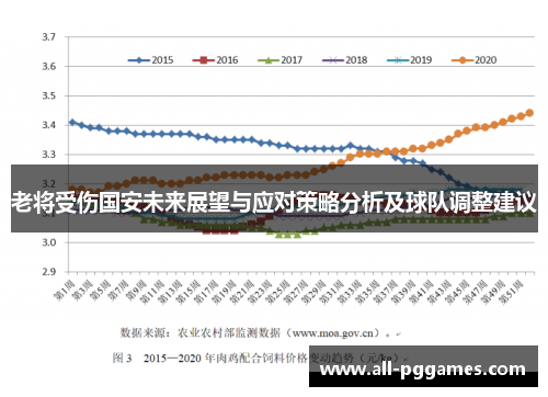 老将受伤国安未来展望与应对策略分析及球队调整建议